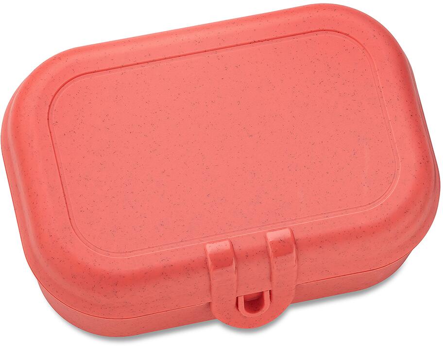 Koziol Pascal S Lunchbox nature coral bei Camping Wagner Campingzubehör