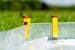 Wurmi Wasserstopclips, 20er-Pack