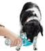 Trinkflasche für Hunde, hellblau