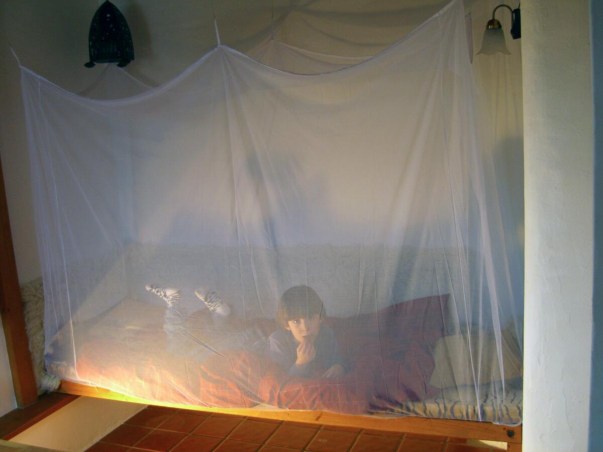 Brettschneider Standard Moskitonetz, Box II