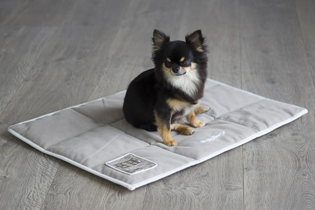 geruchsfreie katzentoilette Samtpfote FLOW  Edelstahl-Katzentoilette mit Seiteneinstieg  Samtpfote  GmbH