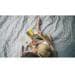 Outwell Cozy Teppich Seacrest, 130x295cm, grau