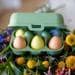 Koziol Eggs To Go Eierbox, 6er, leaf green