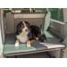 Reimo Dog Pad Hundeauflage für Kofferraum VW California, grau