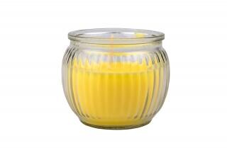 Citronella Kerze im Glas