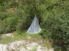 Greenfirst Mücken-Abwehr - Mückenschutz-Spray für Textilien online kaufen