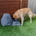 Navigator Dog Travel Buddy Hunde-Reisebegleiter Set, 3-teilig