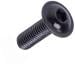Camping Wagner EasyConnect Linsenkopfschraube M5x10, 100er Pack