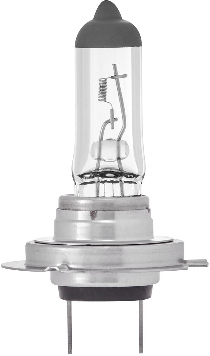Ring Halogen Glühlampe, 12V, 55W, H7/Px26d