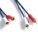 Caratec Connect Audioleitung 3m