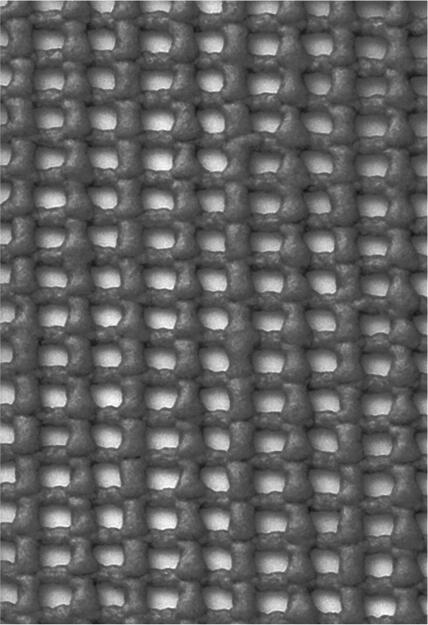 EuroTrail Camptex Zeltteppich, 250x300cm, anthrazit