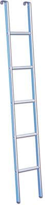 Leiter Protek mit 5 Stufen, 28x158cm