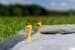 Wurmi Wasserstop-Set, 10er-Pack
