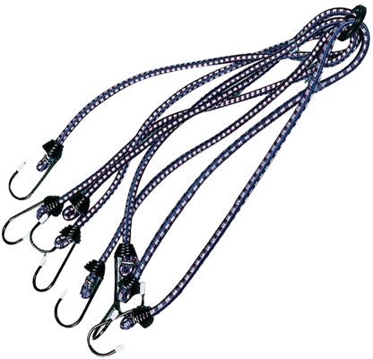 Gepäckspinne mit 8 Armen