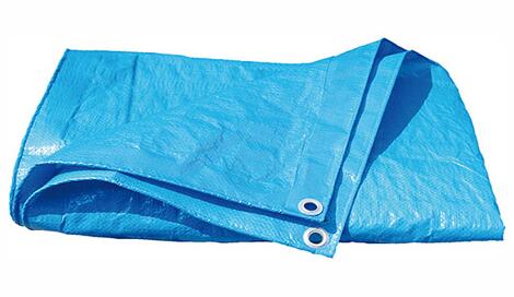 High Peak PE Abdeckplane, 230x160cm, blau