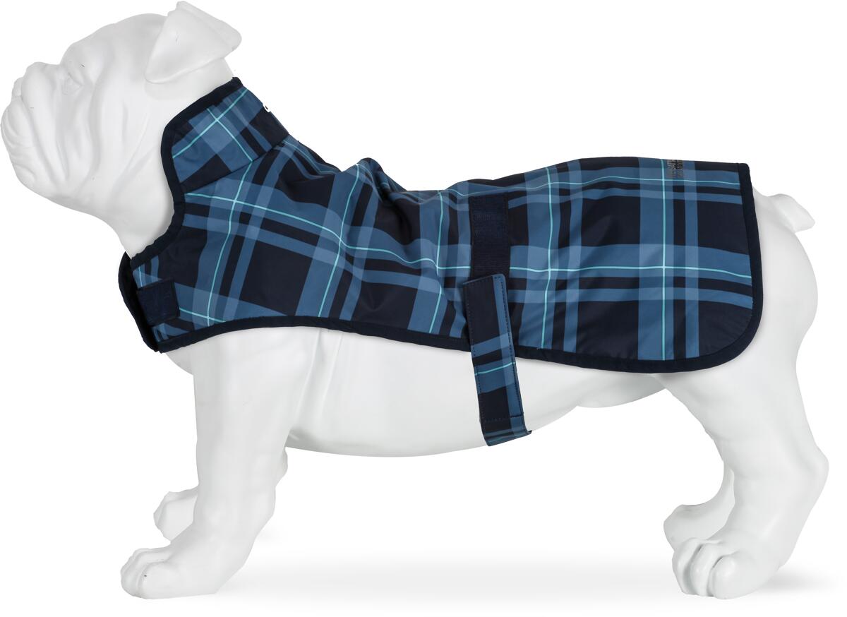 Regatta Arlo Hundemantel, blau kariert, wasserdicht, L bei Camping Wagner Campingzubehör