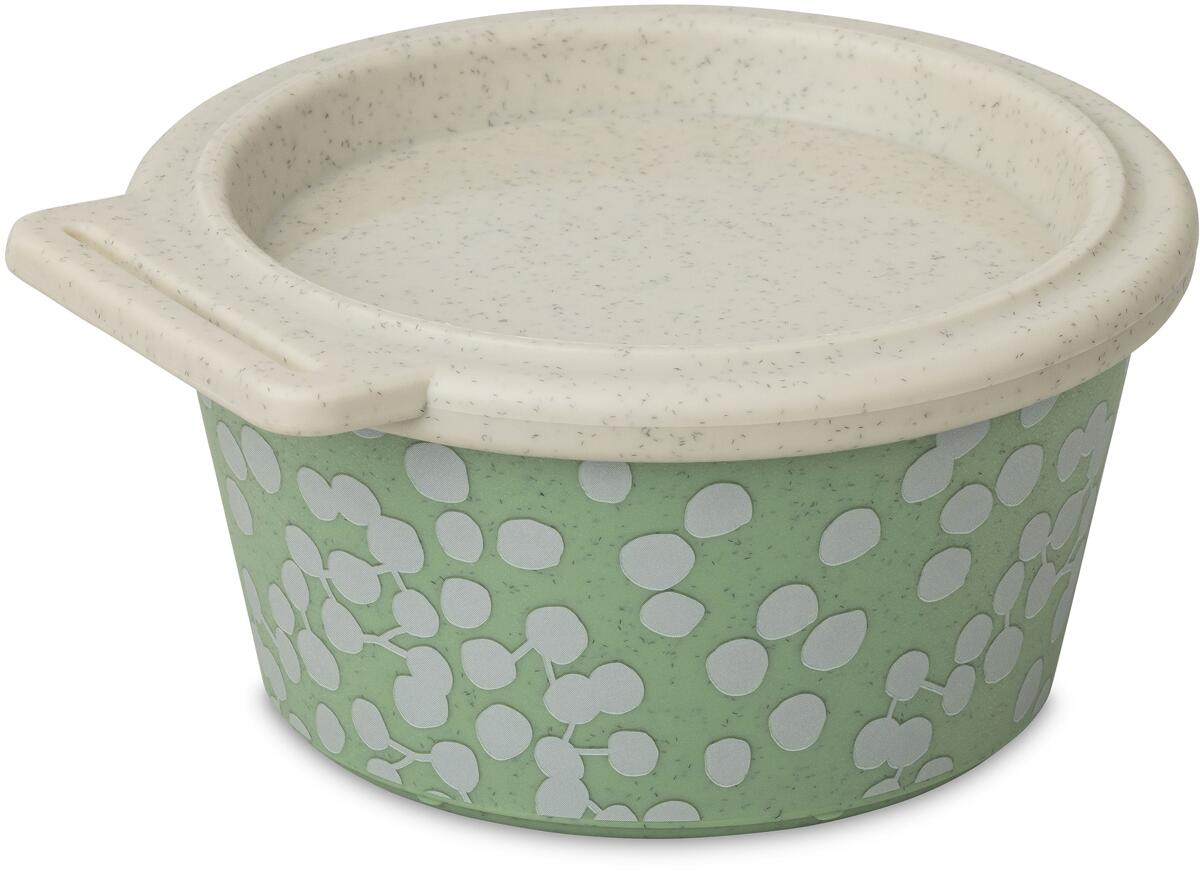 Koziol Blomster Schale mit Deckel, 250ml, nature leaf green dot