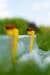 Wurmi Wasserstop-Set, 10er-Pack