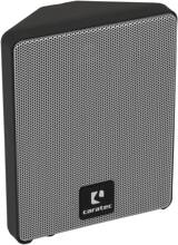 Caratec Audio CAB350 Lautsprecher, 2er-Set
