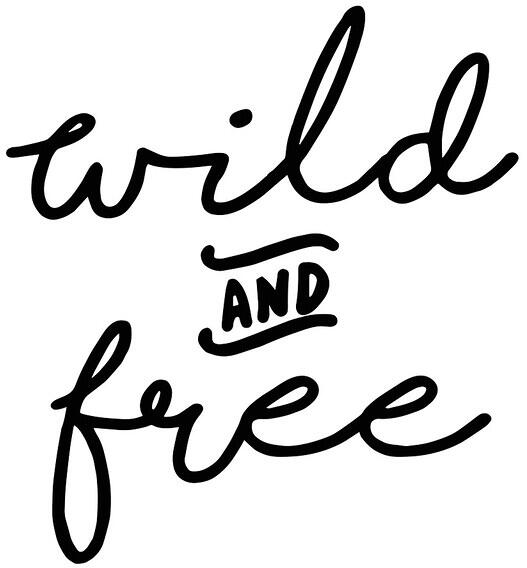 Advanture Shop Autoaufkleber, Wild & Free, schwarz
