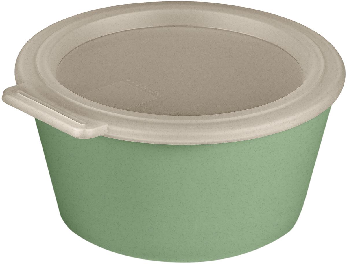 Koziol Move Schale mit Deckel, 700ml, nature leaf green