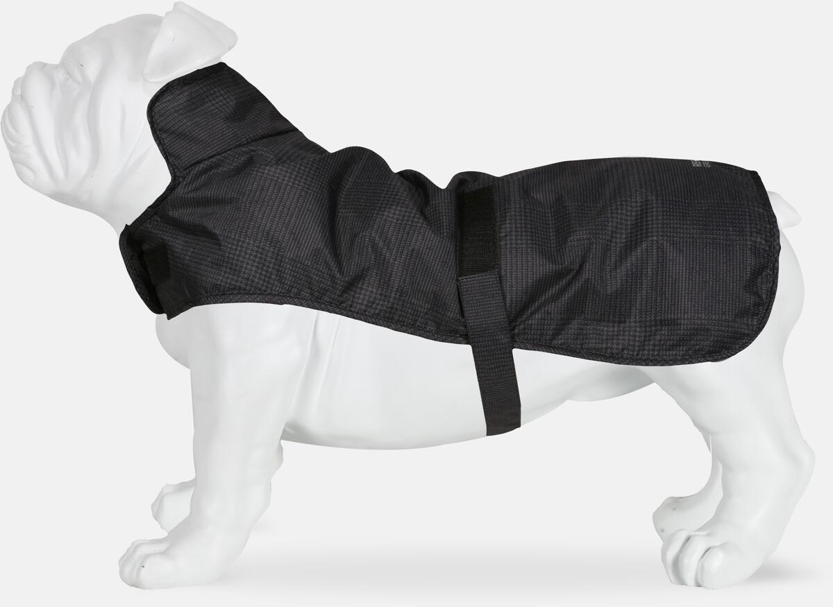 Regatta Arlo Hundemantel, grau kariert, wasserdicht, XL bei Camping Wagner Campingzubehör
