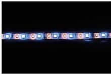 Carbest LED-Band, rot, grün, blau, warmweiß, IP65, 10mm, 12V / 10W/m
