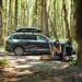 Thule Force 3 Dachbox, schwarz/matt