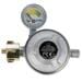 CFH Gasdruckregler mit Manometer, Füllstandsanzeige & Strömungswächter, 50mbar, 1,5 kg/h (Einsatz: Camping)