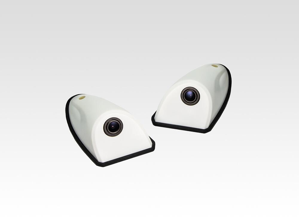 Dynavision DVN CW BSK Seitenkameras für Fiat Ducato