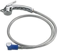 Reich Charisma Stellbrause mit Schlauch für Smart Supply, chrom