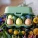 Koziol Eggs To Go Eierbox